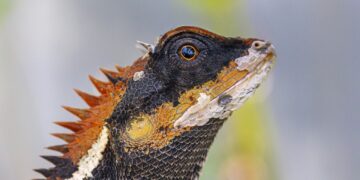 Unexpected Discoveries in Your Everyday Walk: What You're Missing Out On