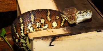 Unlocking the Secrets of the Universe: Exploring the Amazing Findings