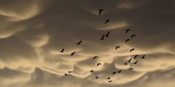 Exploring the Unseen: Discover Unique Facts About the World's Hidden Destinations