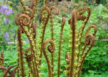 Are You Eating Enough Fiber? Discover Why It Matters for Your Health