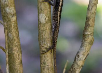 Unveiling the Future: How Revolutionary Findings Are Changing Our World