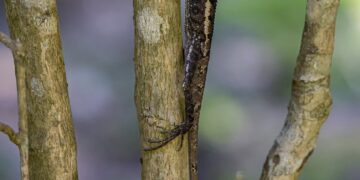 Unveiling the Future: How Revolutionary Findings Are Changing Our World