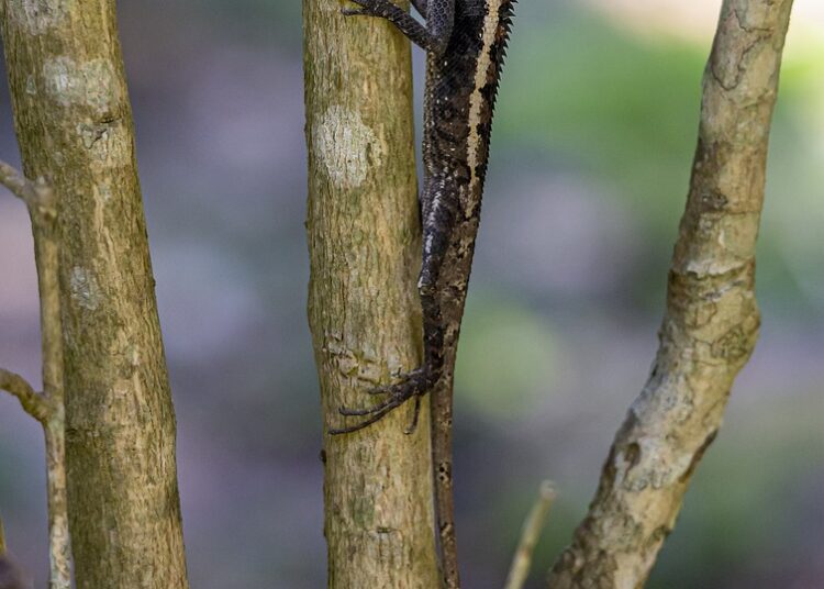 Unveiling the Future: How Revolutionary Findings Are Changing Our World