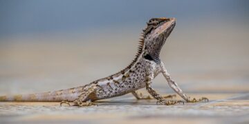 Exploring the Enigma: Top Curious Discoveries that Changed Our View of History