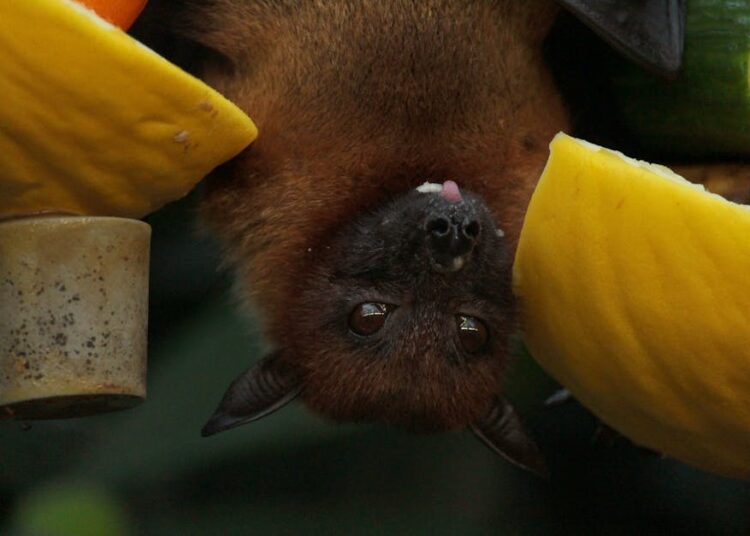 10 Extraordinary Discoveries in Modern Science That Changed Our World