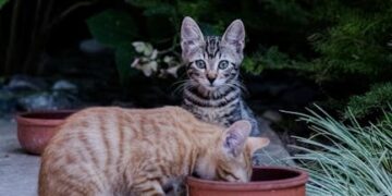 10 Amazing Facts About the Ocean That Will Blow Your Mind