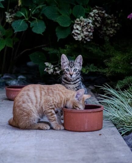 10 Amazing Facts About the Ocean That Will Blow Your Mind