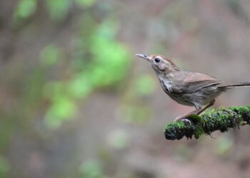 10 Astonishing Facts About the Ocean That Will Take Your Breath Away