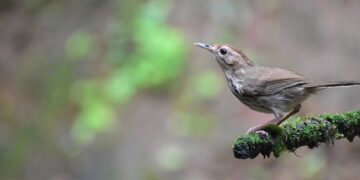 10 Astonishing Facts About the Ocean That Will Take Your Breath Away