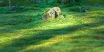 10 Curious Historical Facts That Will Change How You View the Past