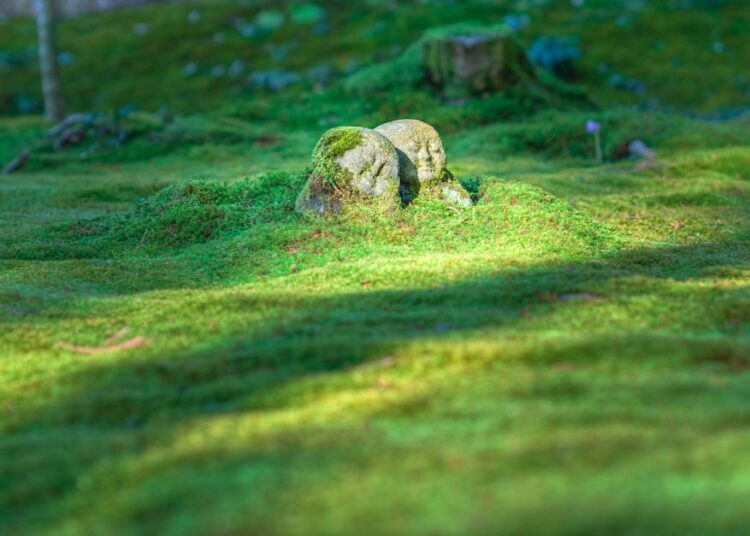 10 Curious Historical Facts That Will Change How You View the Past