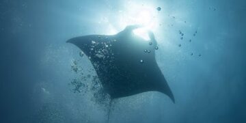 10 Amazing Findings in Modern Science That Will Change Your View of the World