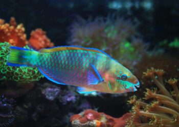 5 Strange Facts You Won’t Believe About the Animal Kingdom
