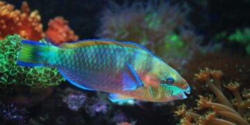 5 Strange Facts You Won’t Believe About the Animal Kingdom