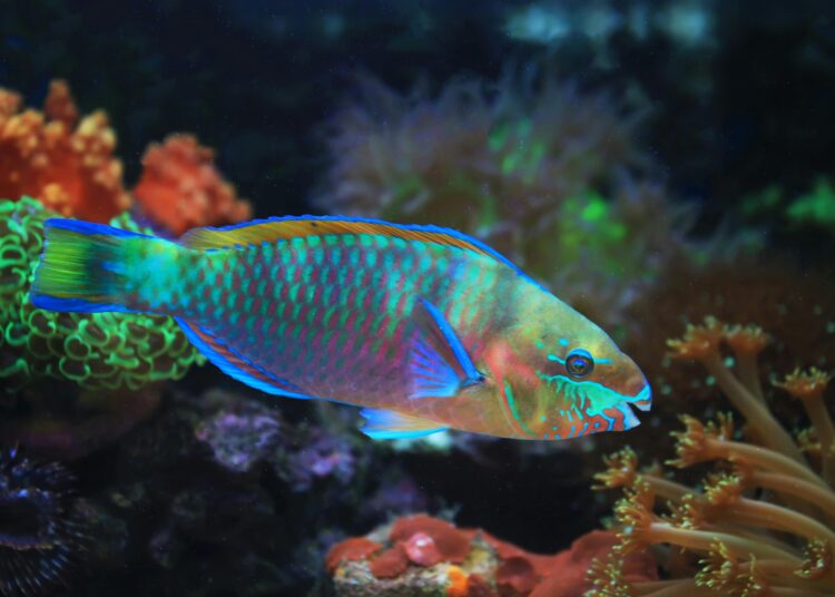 5 Strange Facts You Won’t Believe About the Animal Kingdom