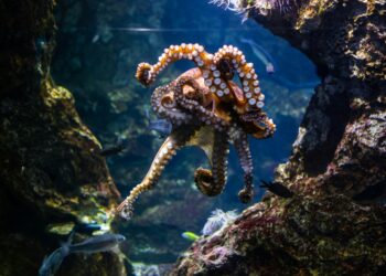 10 Weird Facts That Will Blow Your Mind