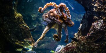 10 Weird Facts That Will Blow Your Mind