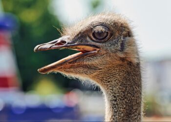 10 Surprising Random History Facts You’ve Never Heard Before