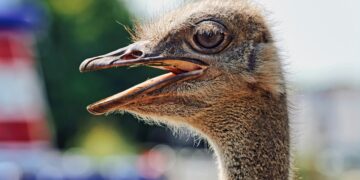 10 Surprising Random History Facts You’ve Never Heard Before