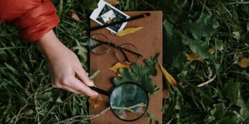 Unveiling the Unexpected: Surprising Discoveries That Changed Our View of History