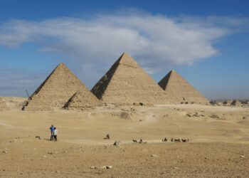 7 Fun History Facts That Will Surprise You