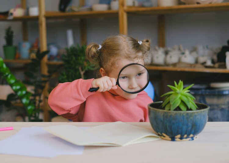 Exploring the Power of Curiosity-Driven Education: How It’s Changing Learning