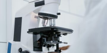 10 Fascinating Discoveries in Modern Science You Can’t Miss
